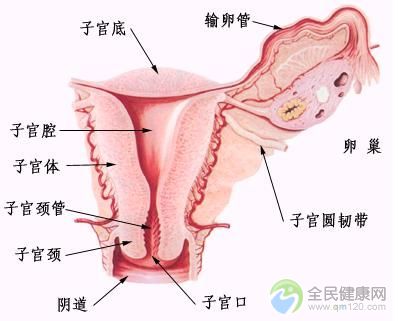 <b>女性输卵管通而不畅好治疗吗</b>