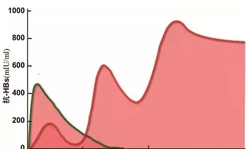 乙肝疫苗+乙肝免疫球蛋白联合免疫后的抗体水平  西安安琪儿