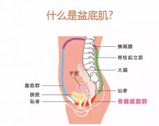 <b>【女性私密整复】呵护您的秘密花园</b>